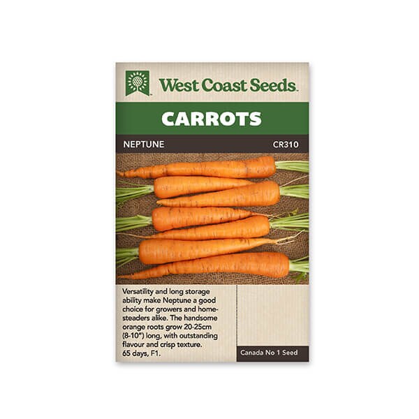 Carrot Seeds - West Coast Seeds